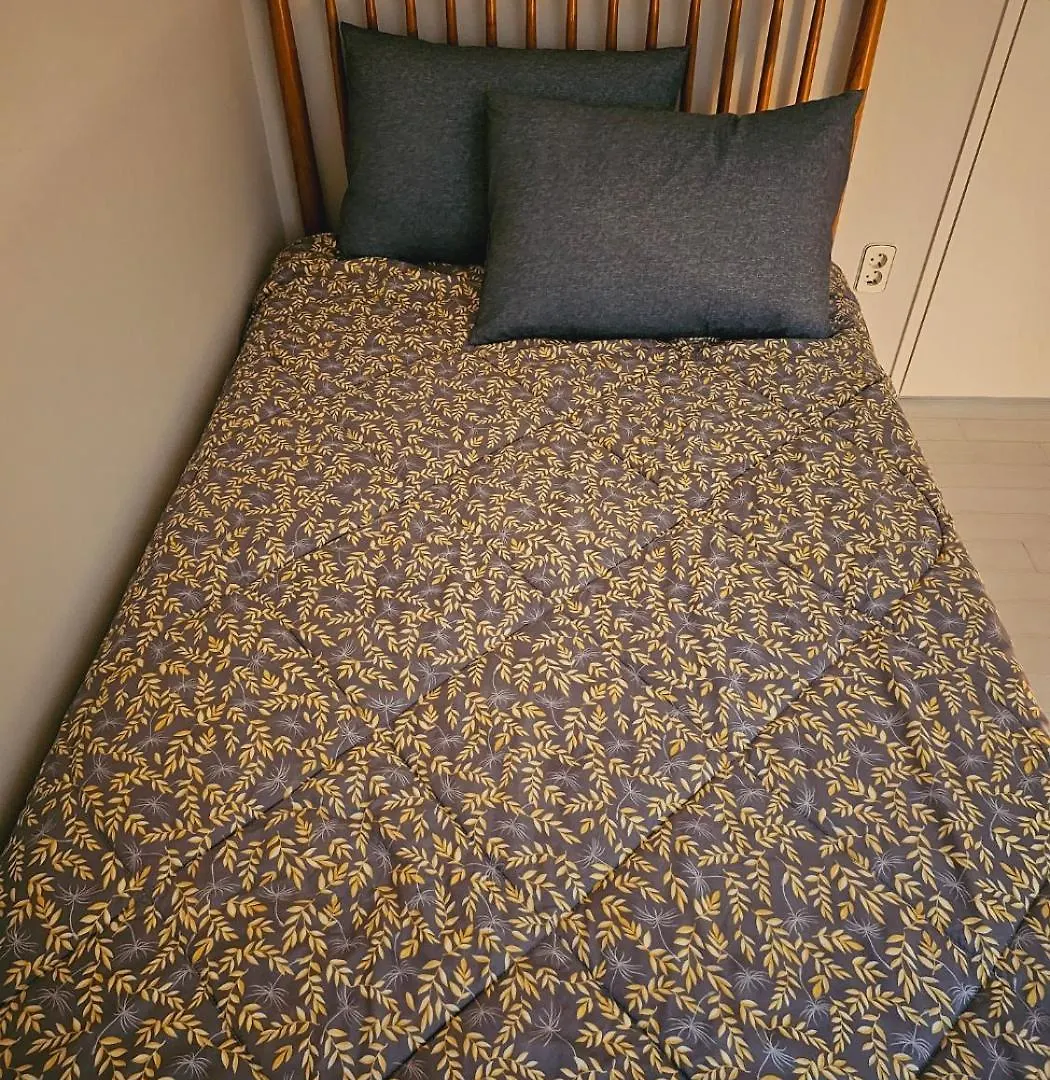 Seoul Hwaogok Large Three Bedroom - 10Mins To Gimpo Airport